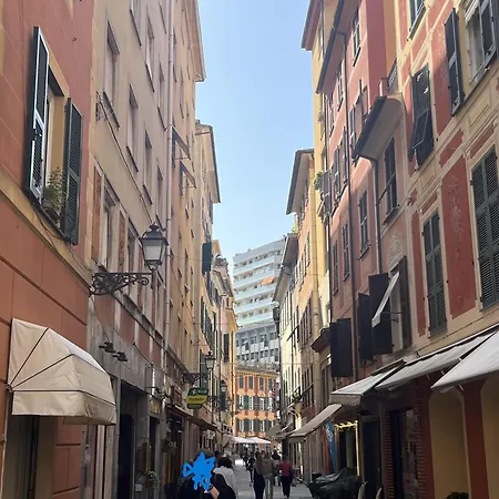 Ti Ci Devo Portare Appartement *